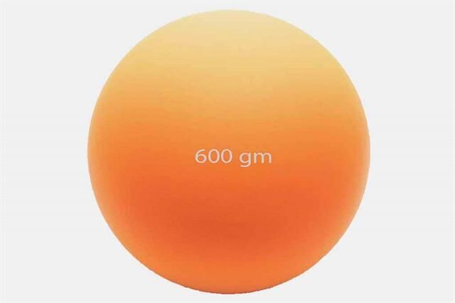 Eğitim Güllesi 600 Gram Eğitim Güllesi 600 Gram