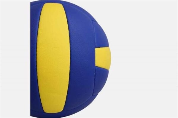 Neon Voleybol Topu