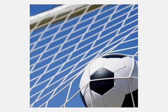 KR-116 Standart Minyatür Kale Filesi