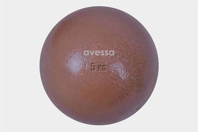 Avessa 5 Kg Döküm Gülle