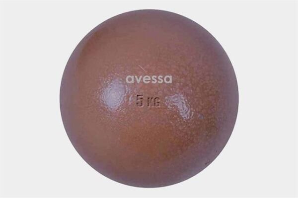 Avessa 5 Kg Döküm Gülle