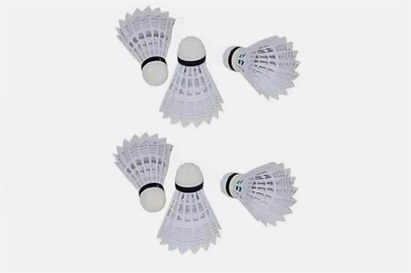 Avessa PRO2000 Badminton Raket Set Çantalı