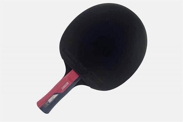 85029 Tımo Boll Ruby ITFF Onaylı Masa Tenisi Raketi