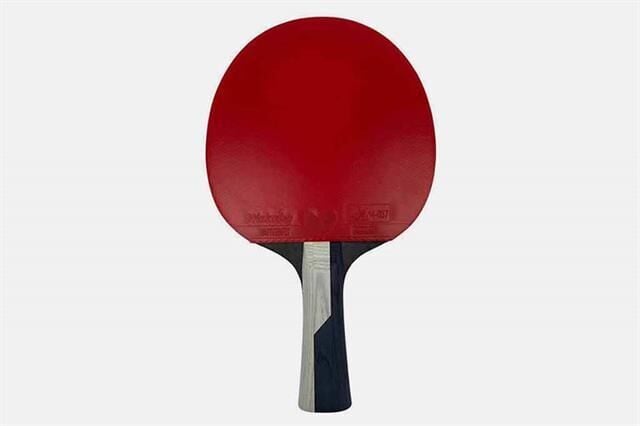 85034 Tımo Boll Diamond ITFF Onaylı Masa Tenisi Raketi