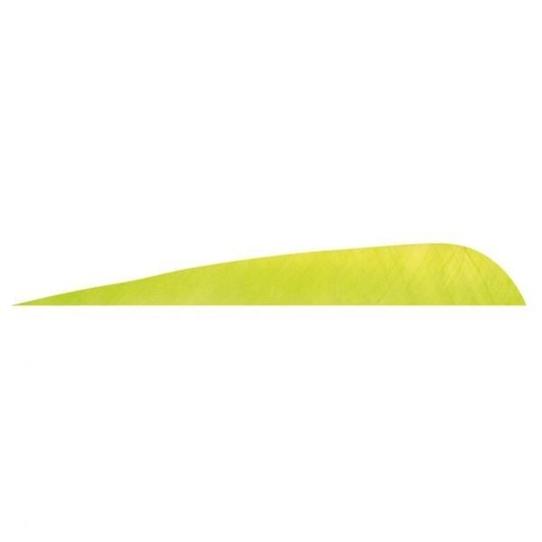 Gateway 4'' Parabolic
