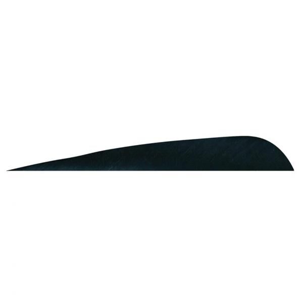 Gateway 5'' Parabolic Kesim R.W.