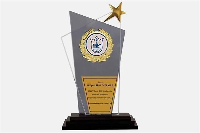 M5 Kristal Plaket 27 cm