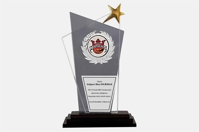 Bayspor M7 Kristal Plaket 27 cm