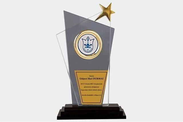 Bayspor M9 Kristal Plaket 27 cm