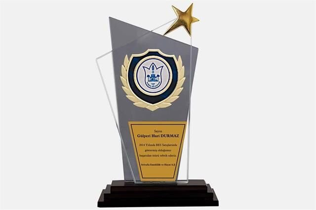 Bayspor M15 Kristal Plaket 27 cm