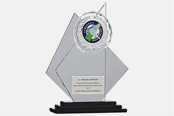 Bayspor M19 Kristal Plaket 24 cm