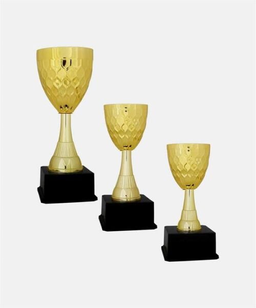 Bayspor C6 Elit Kupa Takımı 3 lü Set