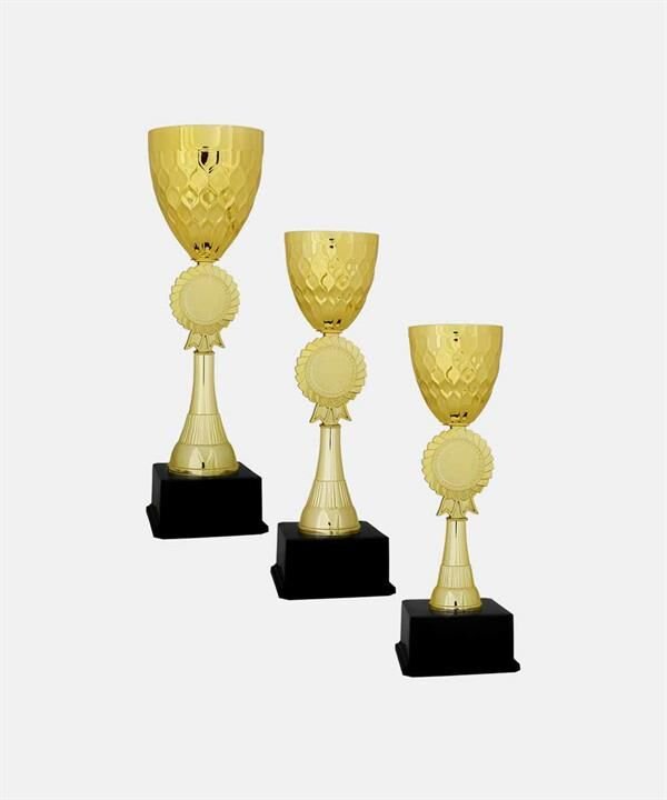 Bayspor C10 Elit Kupa Takımı 3 lü Set