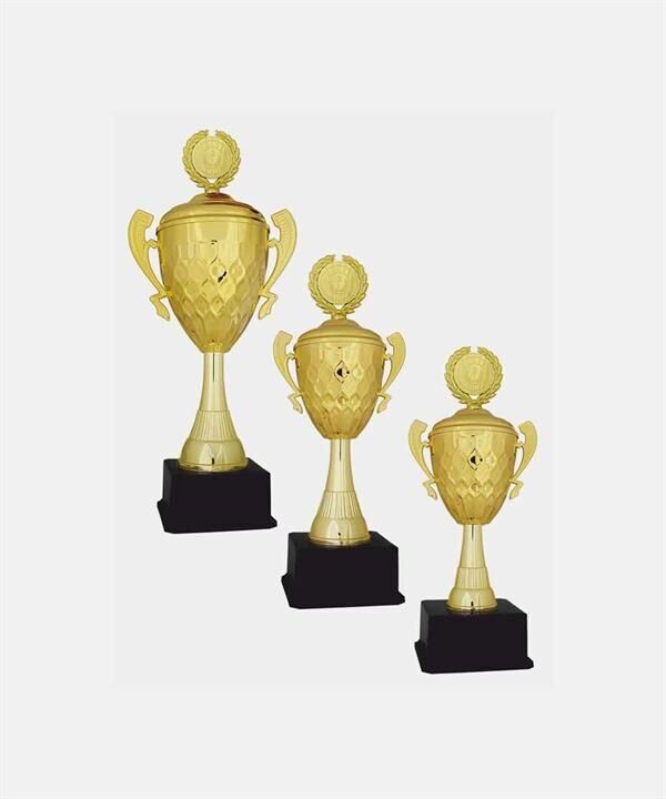 C33 Elit Kupa Takımı 3 lü Set