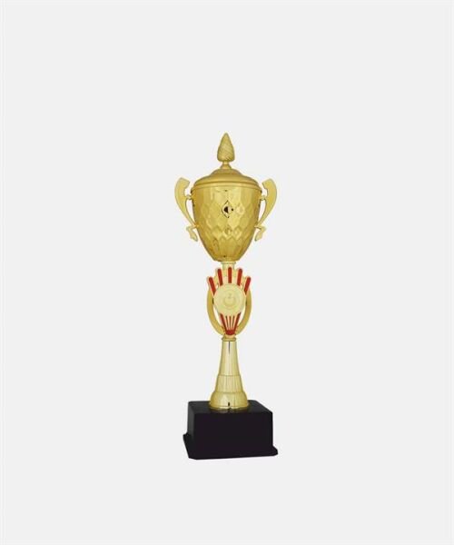 Bayspor C43 Elit Kupa Takımı 3 lü Set