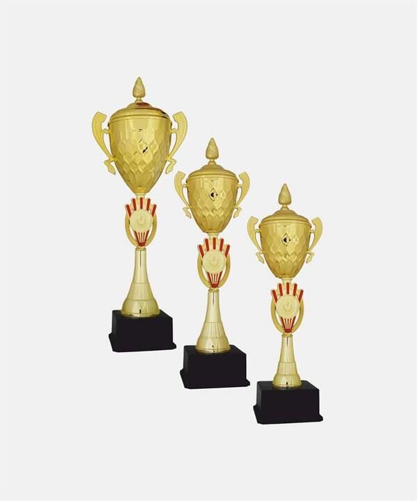 Bayspor C43 Elit Kupa Takımı 3 lü Set