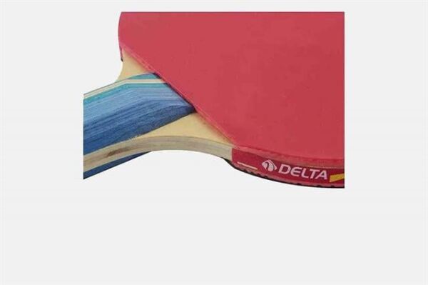 Delta RCS638 Masa Tenisi 3* Raket Set 2 Raket 3 Top