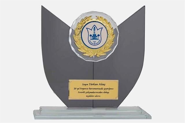 Bayspor M65 Kristal Plaket 22 cm