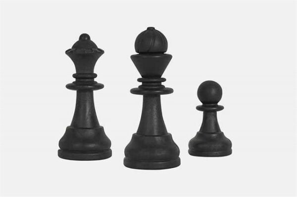 Rulo Satranç Takımı