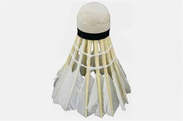 Badminton Topu Plastik 6 lı-Kaz Tüyü