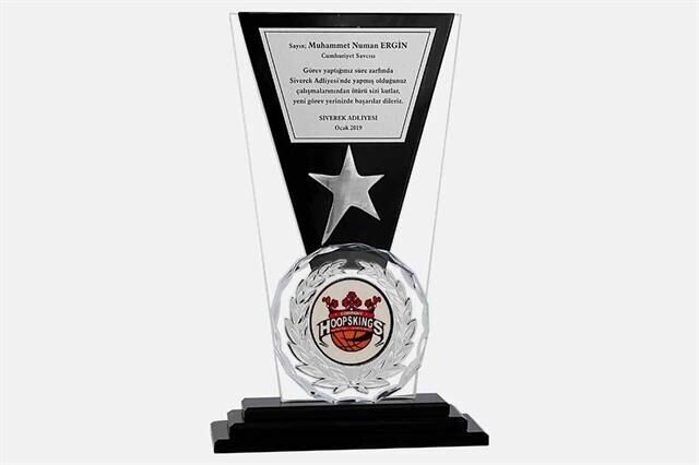 Bayspor M103 Kristal Plaket 26 cm