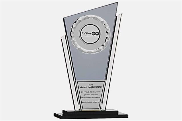 Bayspor M119 Kristal Plaket 27 cm
