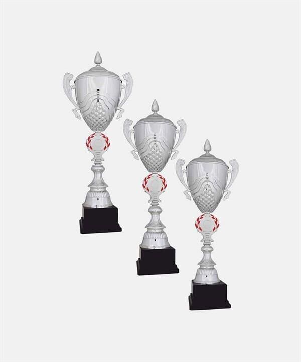 Bayspor H54 Büyük Kupa Takımı 3 lü Set