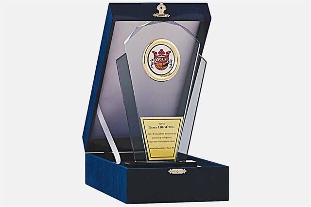 M142 Kadife Kutulu Kristal Plaket 26 cm