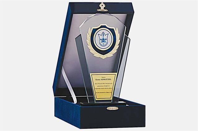 M146 Kadife Kutulu Kristal Plaket 26 cm