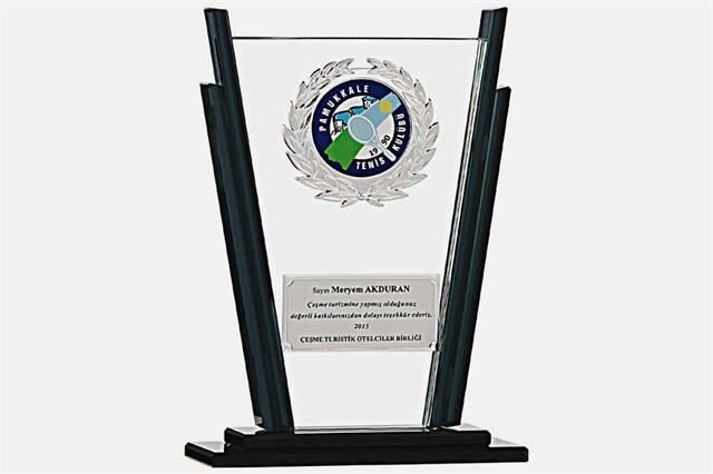 Bayspor M149 Kristal Plaket 23 cm