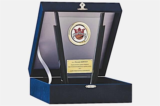 Bayspor M154 Kadife Kutulu Kristal Plaket 23 cm