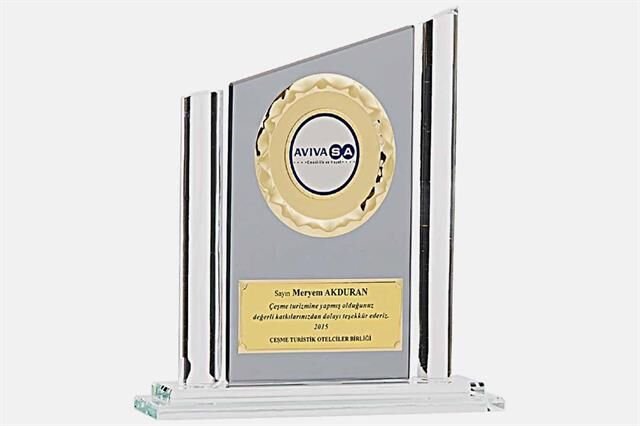 Bayspor M163 Kristal Plaket 23 cm