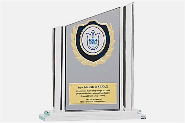 Bayspor M169 Kristal Plaket 23 cm