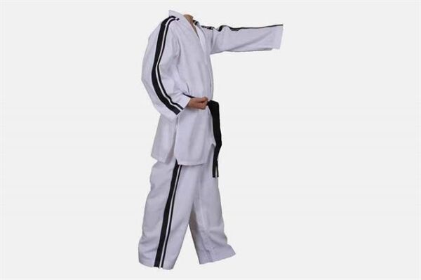 TE040 Beyaz Yaka Teakwondo Elbisesi