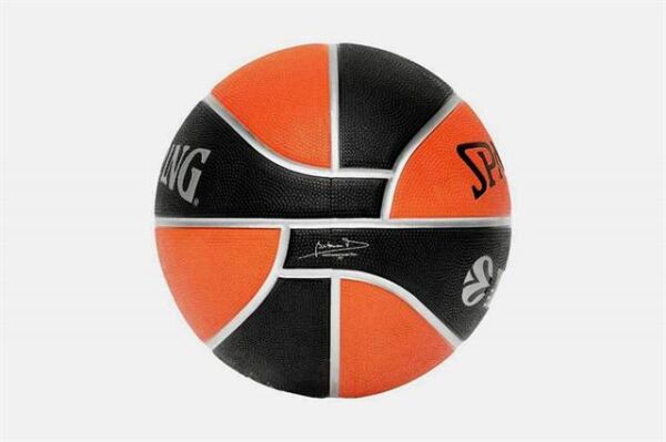 Spalding Basketbol Topu 2021 TF-150 Euro/Turk Size:7