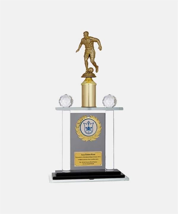 Bayspor M227 Kristal Plaket 38 cm