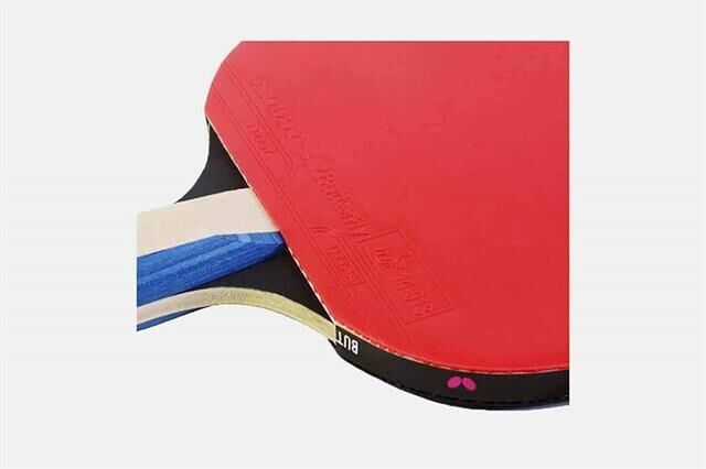 Timo Boll Silver Masa Tenisi Raketi