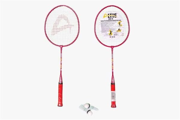 SDB-10 Çiftli Tam Kılıf Badminton Raket Seti