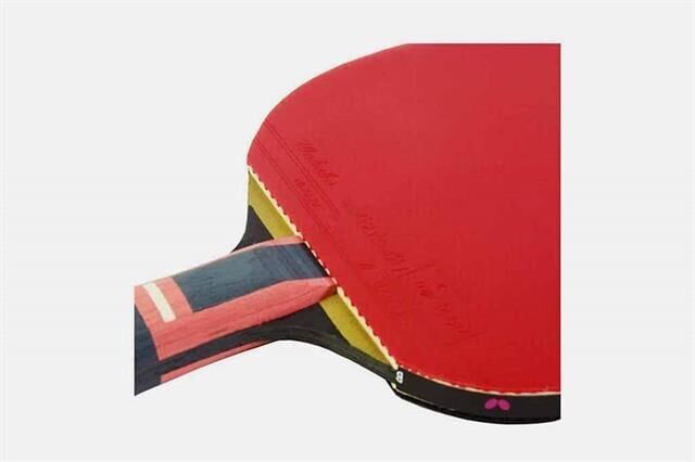 Zhang Jike Zjx6 Masa Tenisi Raketi