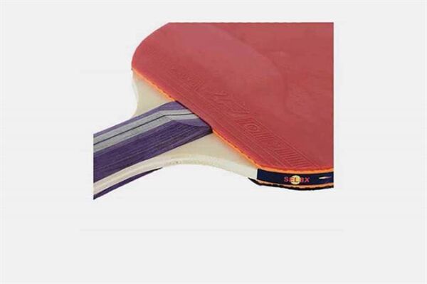 Selex WTR02 Masa Tenisi Raket Set