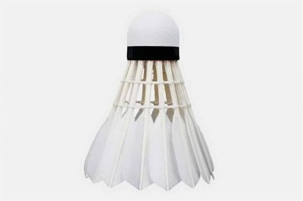 TBF 12'li Badminton Topu