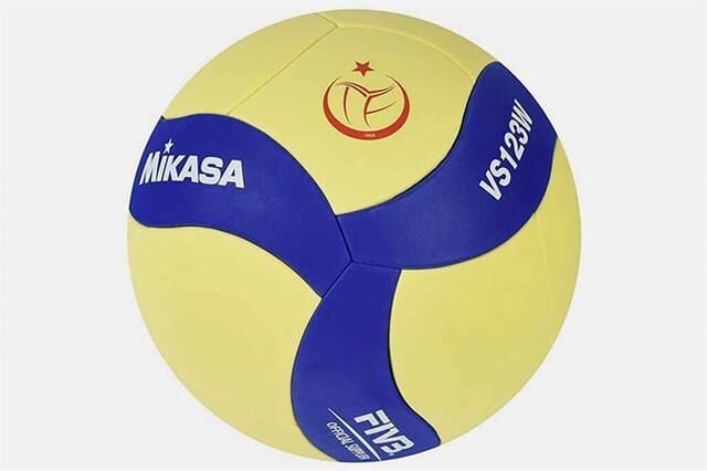 Eva VS123W Yapıştırma Voleybol Topu